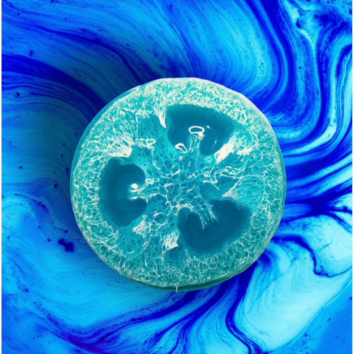 Blue Ritual 🫐 Loofah