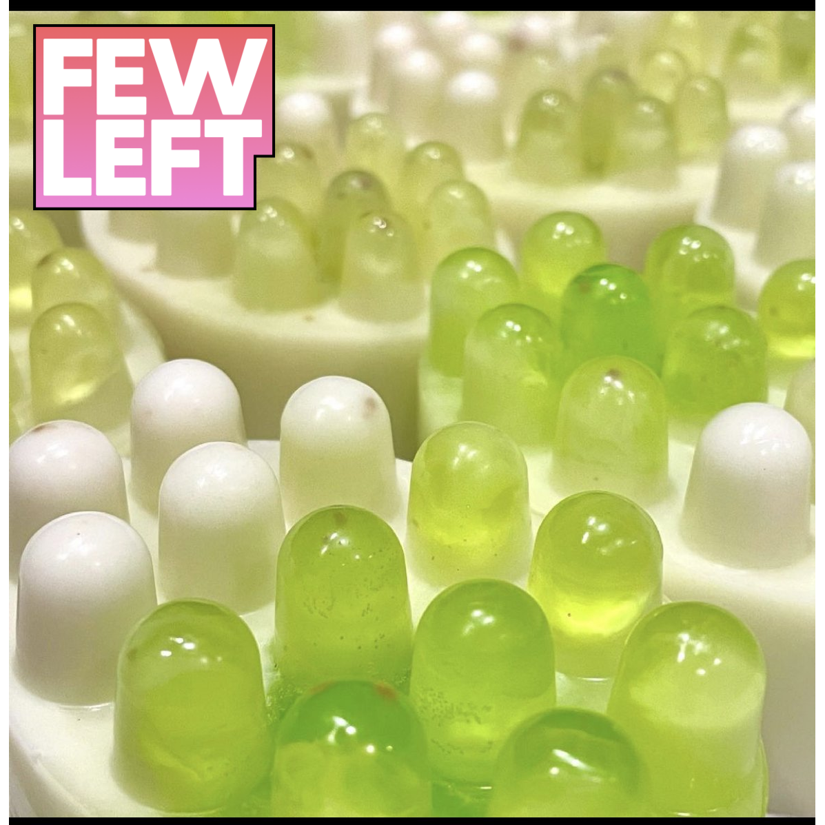 Electric Zoo Massage Bar